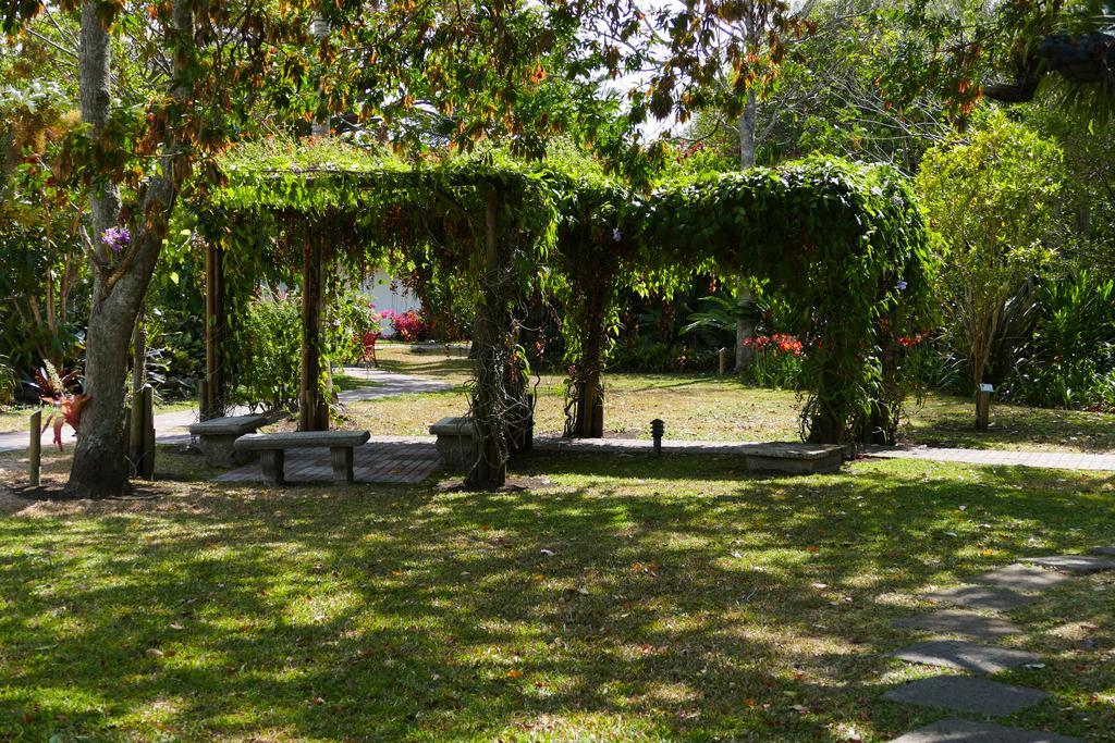 Hotel Bougainvillea San Jose Santo Domingo De Heredia ภายนอก รูปภาพ