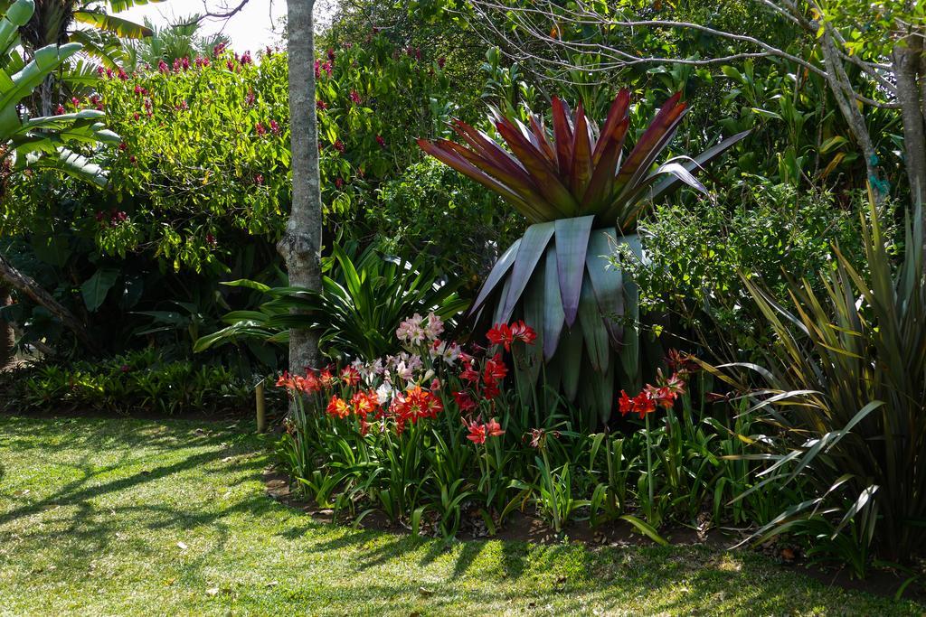 Hotel Bougainvillea San Jose Santo Domingo De Heredia ภายนอก รูปภาพ